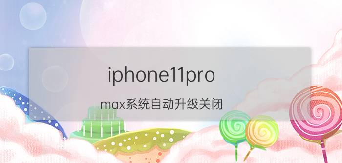 iphone11pro max系统自动升级关闭 11promax升级ios16怎么降级？